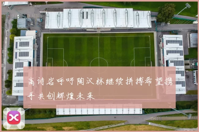 高诗岩呼吁陶汉林继续拼搏希望携手共创辉煌未来