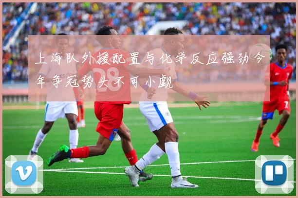 上海队外援配置与化学反应强劲今年争冠势头不可小觑